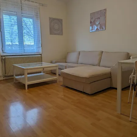 Le Balois - 2 Chambres, Salon, Cuisine Equipee, Parking Et Wifi Gratuit Mulhouse